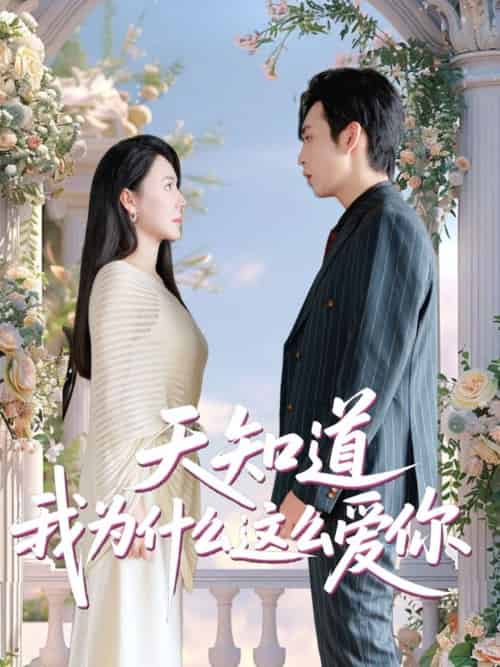 天知道我为什么这么爱你（32集）马骁骏＆曹禹澄-搜外项目网