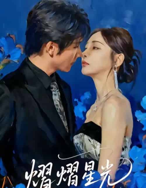 熠熠星光（67集全）高梓添＆万家乐-搜外项目网