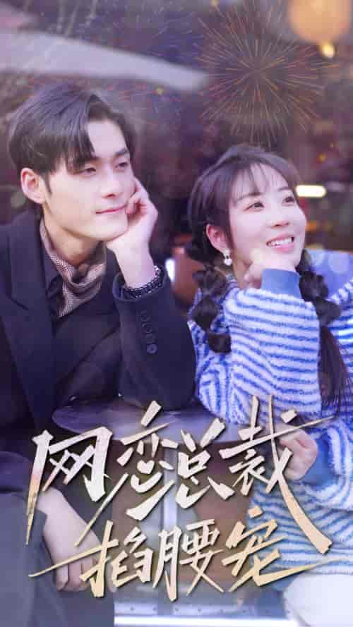 网恋总裁掐腰宠（93集）彭丹丹-搜外项目网