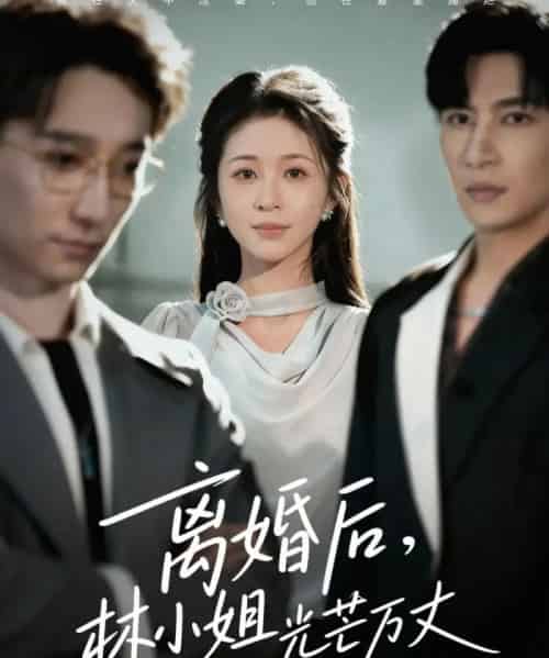 离婚后林小姐光芒万丈（62集全）王康＆韩录锦-搜外项目网