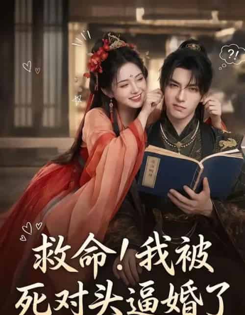救命我被死对头逼婚了(26集全)-搜外项目网