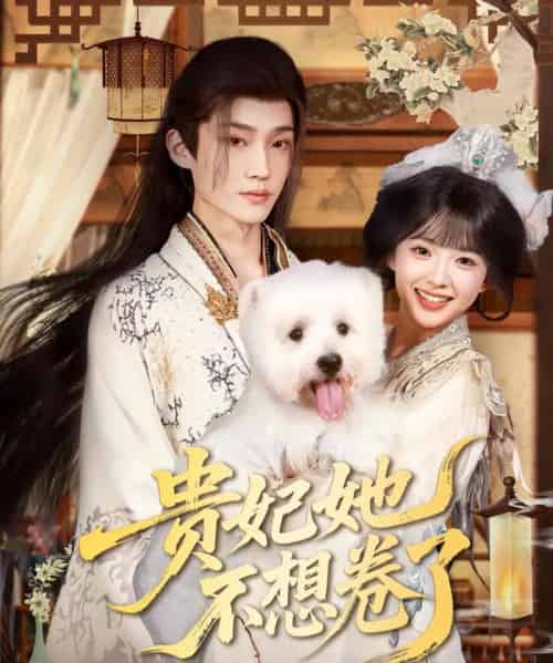 贵妃她不想卷了(60集)李沛洋&吴滕莉-搜外项目网