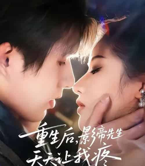 重生后，影帝先生天天让我疼（71集全）施琦＆王晟云-搜外项目网