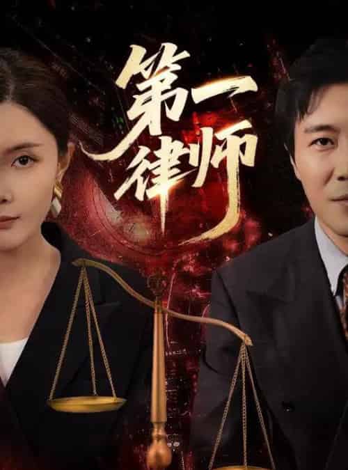 第一律师（60集）张文博＆高雅-搜外项目网