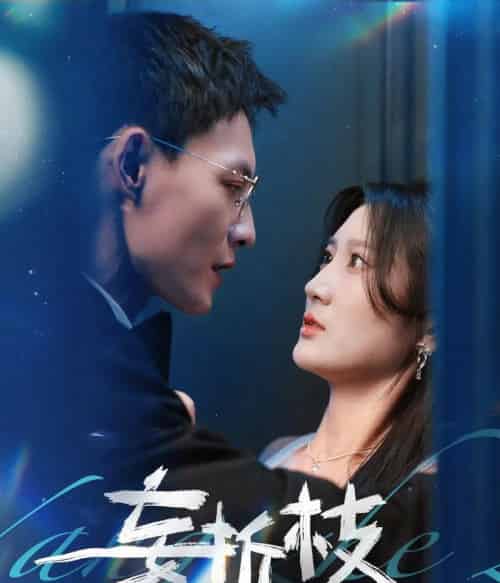 妄折枝（53集）冯铭潮＆杨珊子-搜外项目网