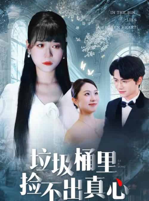 垃圾桶里捡不出真心（50集全）吴俊杰＆钱睿婧-搜外项目网