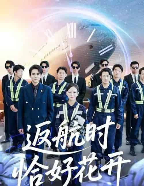 返航时恰好花开（101集全）魏梦迪＆李家豪-搜外项目网