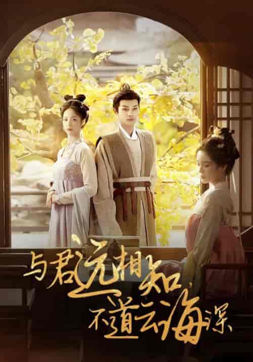 与君远相知,不道云海深(30集全)柳甯&田熙雯-搜外项目网