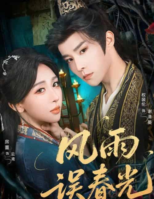 风雨误春光&七年寒鸢(58集全)权裴伦&房蕾-搜外项目网
