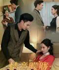 情意朦胧(34集)廖峰&孙浦瑄-搜外项目网