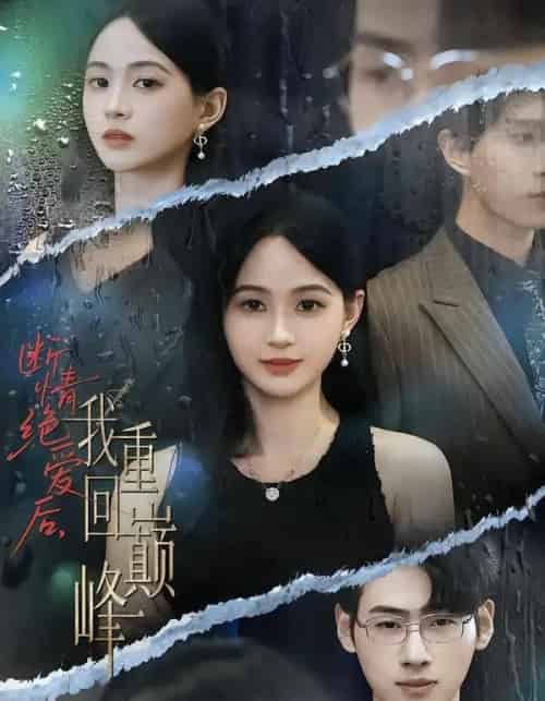 断情绝爱后,我重回巅峰(54集全)唐润瑶&武帅康-搜外项目网