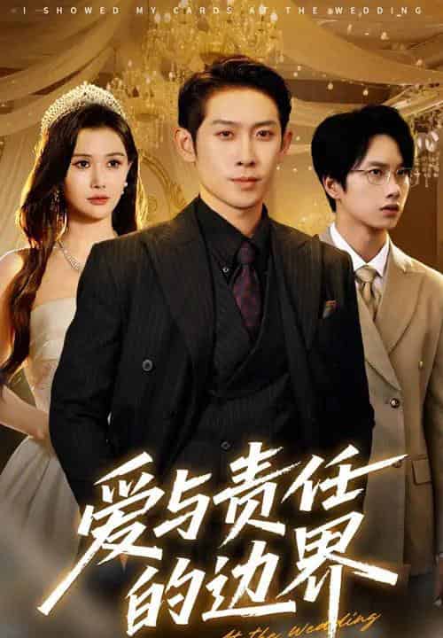 爱与责任的边界（35集）彭羽＆王新颖-搜外项目网