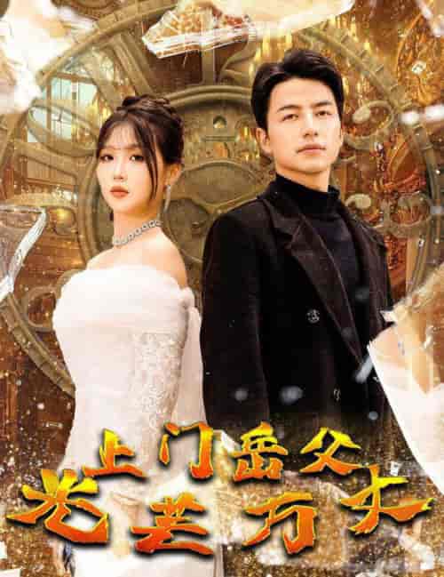 上门岳父光芒万丈（59集全）吴昊-搜外项目网