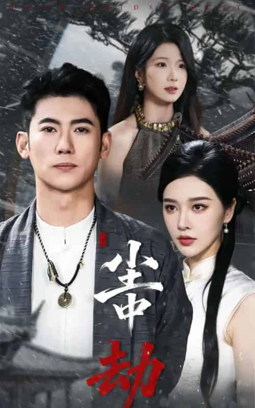 尘中劫（78集全）李乾锋＆张子唯-搜外项目网