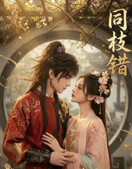 同枝错（39集全）AI-搜外项目网