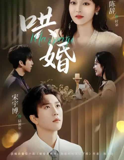 哄婚（67集全）宋宇博＆陈辞-搜外项目网