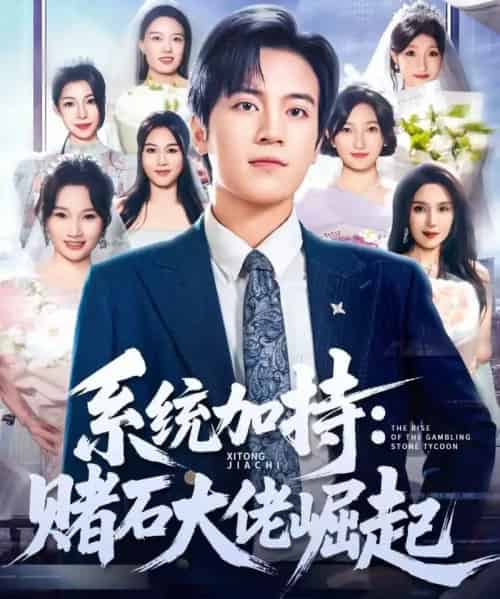 统加持：赌石大佬崛起＆少年赌神：从原石到顶流（77集全）田杨＆李芝桦-搜外项目网