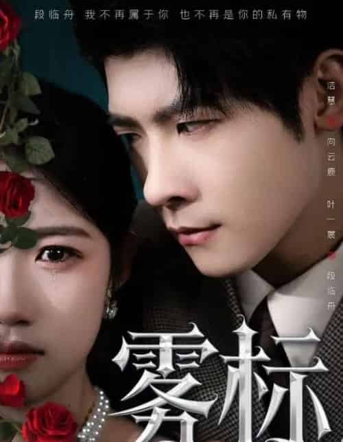 雾标(70集)叶一宸&高洁慧-搜外项目网