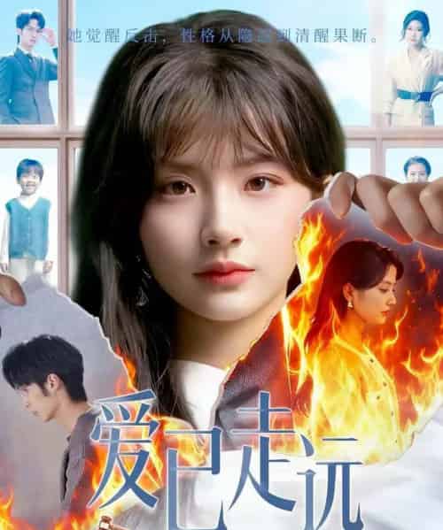 爱已走远（60集全）王浩＆何可人-搜外项目网