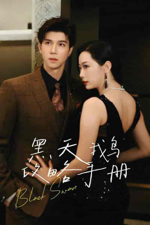 黑天鹅攻略手册（72集全）蹇代莉-搜外项目网