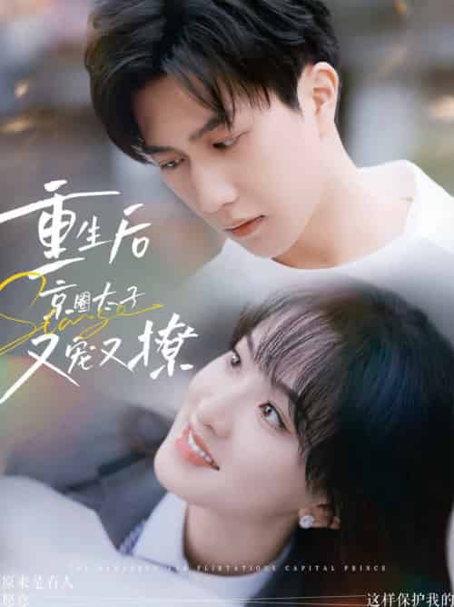 重生后京圈太子又宠又撩（72集全）-搜外项目网