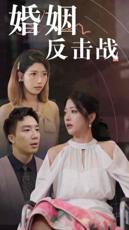 婚姻反击战（40集全）邹佳欣-搜外项目网