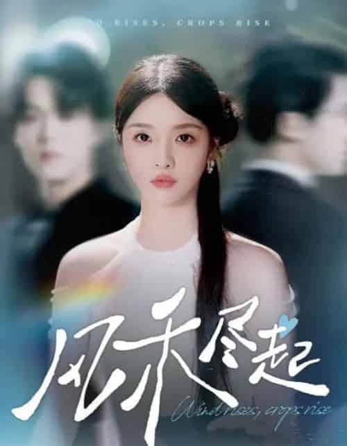 风禾尽起(44集全)张英杰&罗永瑶-搜外项目网