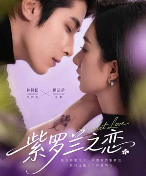 紫罗兰之恋（82集全）谭盐盐＆林枫松-搜外项目网