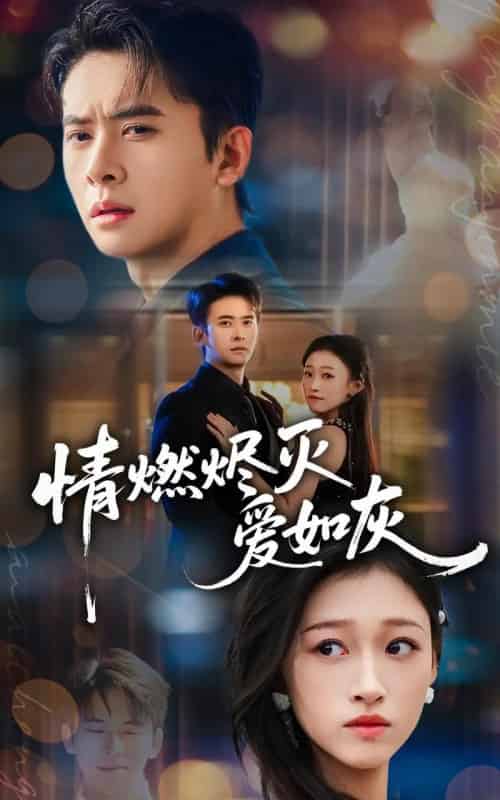 情燃烬灭爱如灰（62集全）刘渝展＆卓颐-搜外项目网