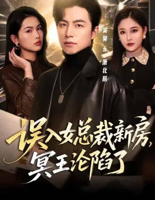 误入女总裁新房，冥王沦陷了（80集全）吴昊＆张亚迪-搜外项目网