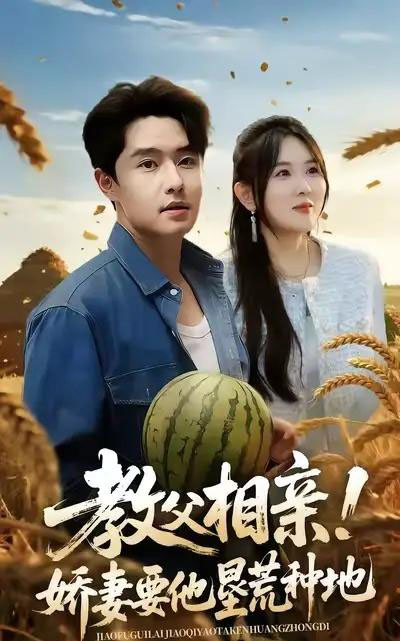教父相亲娇妻要他垦荒种地（58集全）梁继镭＆翟兆星＆霍豆豆-搜外项目网