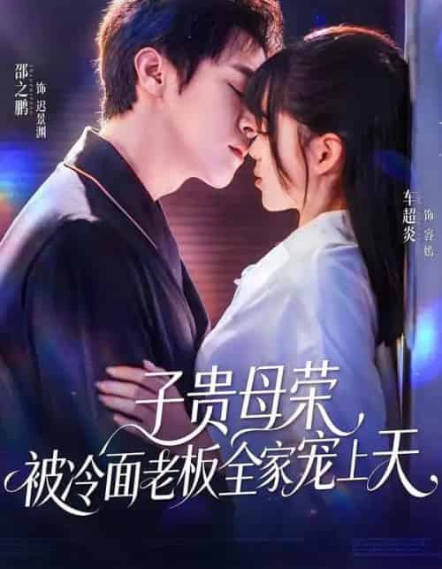 子贵母荣,被冷面老板全家宠上天(70集全)邵之鹏&车超炎-搜外项目网