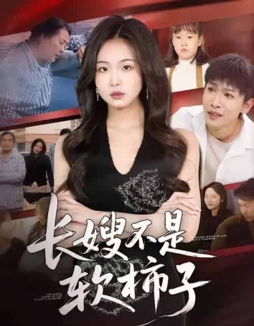 长嫂不是软柿子（50集全）王昊翔＆田嘉蓉-搜外项目网
