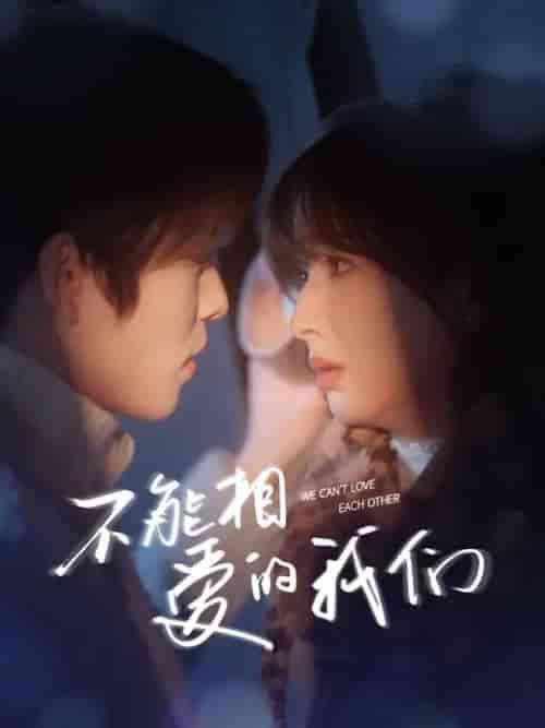 不能相爱的我们（50集全）长篇-搜外项目网