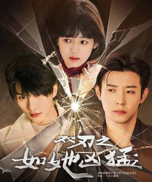 双刃之如她凶猛（63集）张集骏＆马小宇＆周子歆-搜外项目网