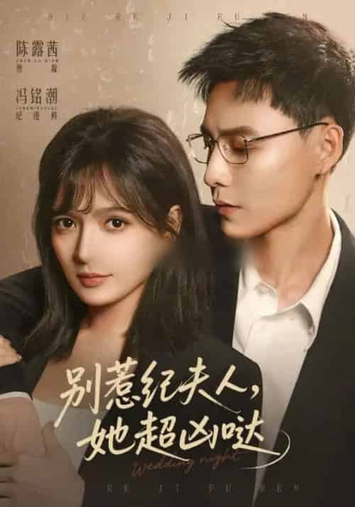 别惹纪夫人，她超凶哒（70集全）陈露茜＆冯铭潮-搜外项目网