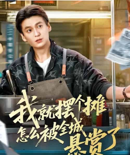 我就摆个摊怎么被全城悬赏了(80集全)肖涵&杜雪婷-搜外项目网