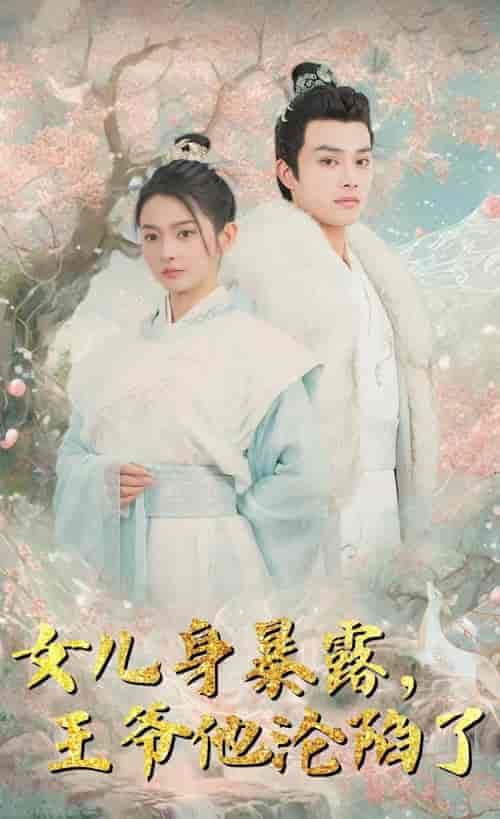 女儿身暴露，王爷他沦陷了（99集）柳甯-搜外项目网