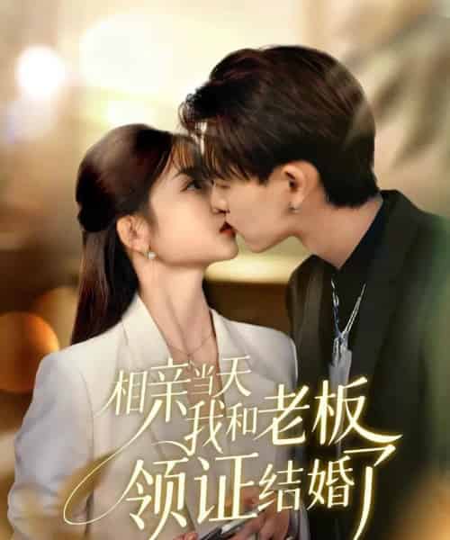 相亲当天我和老板领证结婚了（52集全）刘苗苗＆张本睿-搜外项目网