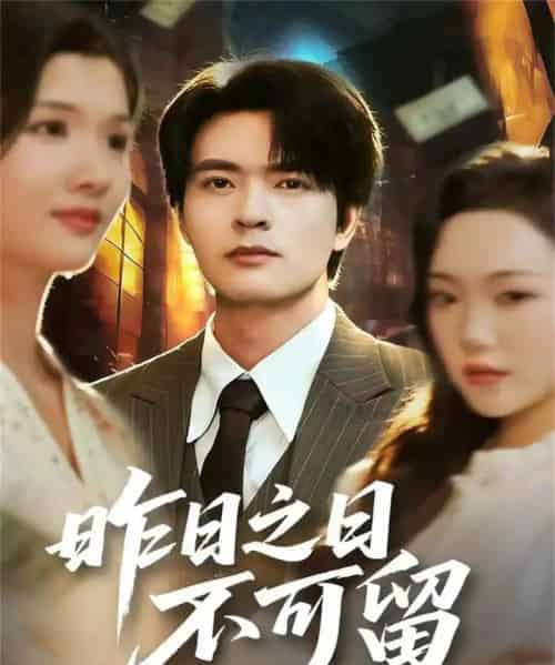 昨日之日不可留（67集全）何子杰＆刘慧格-搜外项目网