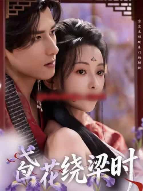 鸢花绕梁时（80集全）杨晨＆蔺瑞雪-搜外项目网