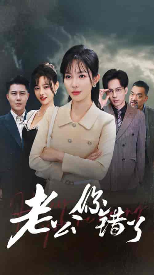 老公你错了（80集全）梁思佳-搜外项目网