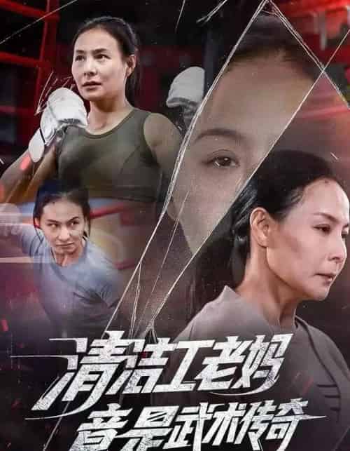清洁工老妈，竟是武术传奇（77集全）王洁＆阎纪圻-搜外项目网