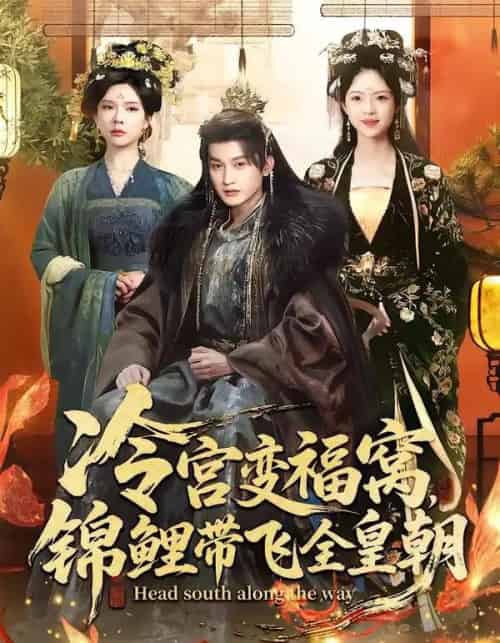 冷宫变福窝，锦鲤带飞全皇朝（99集全）王安琪＆郭浩铭-搜外项目网