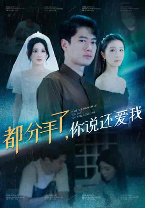 都分手了，你说还爱我（33集全）陈凡＆王琳-搜外项目网