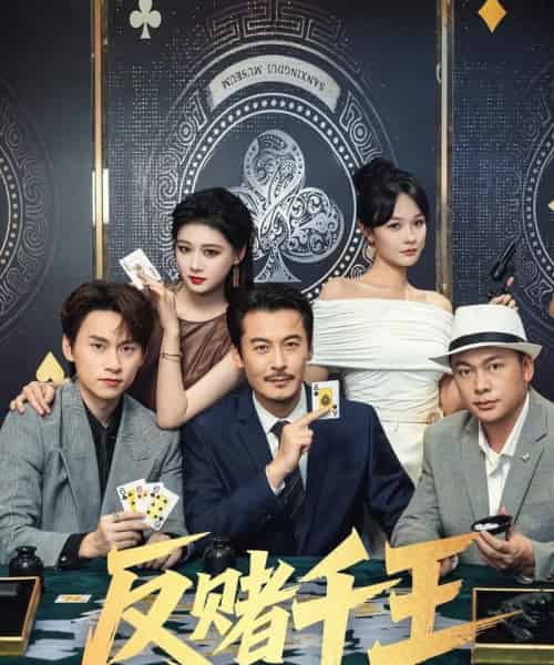 反赌千王（90集）陈杨婷丹＆苏晓言-搜外项目网