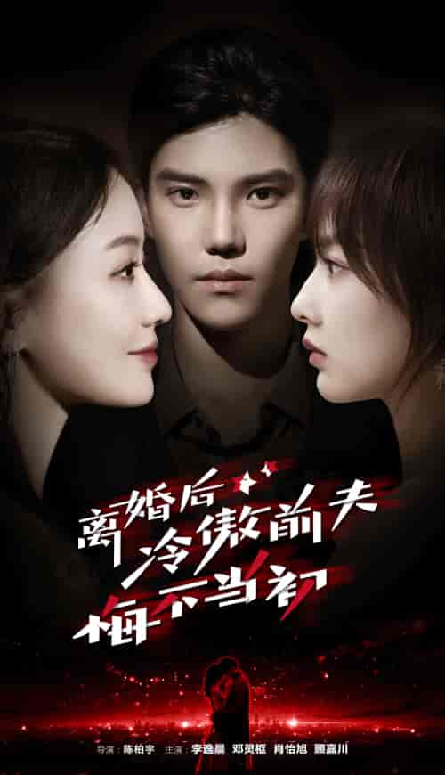 离婚后冷傲前夫悔不当初（83集）邓灵枢-搜外项目网
