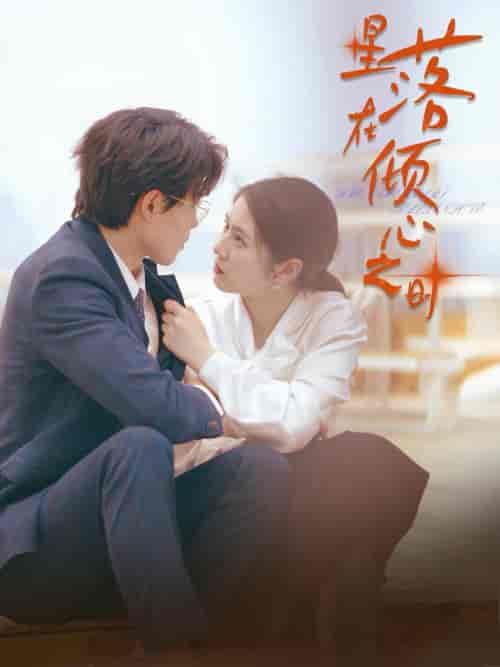 星落在倾心之时（47集全）敖日格乐-搜外项目网