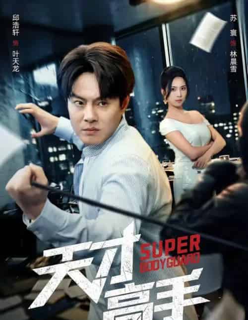 天才高手（69集全）邱浩轩＆苏寰-搜外项目网