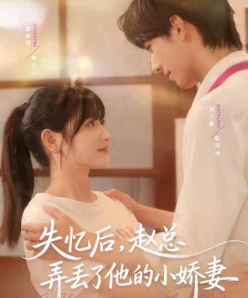 失忆后，赵总弄丢了他的小娇妻（79集全）李咏婧＆冯文栋-搜外项目网